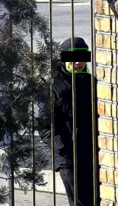 С помощью камеры наружного видеонаблюдения задержан гражданин, находящийся в розыске