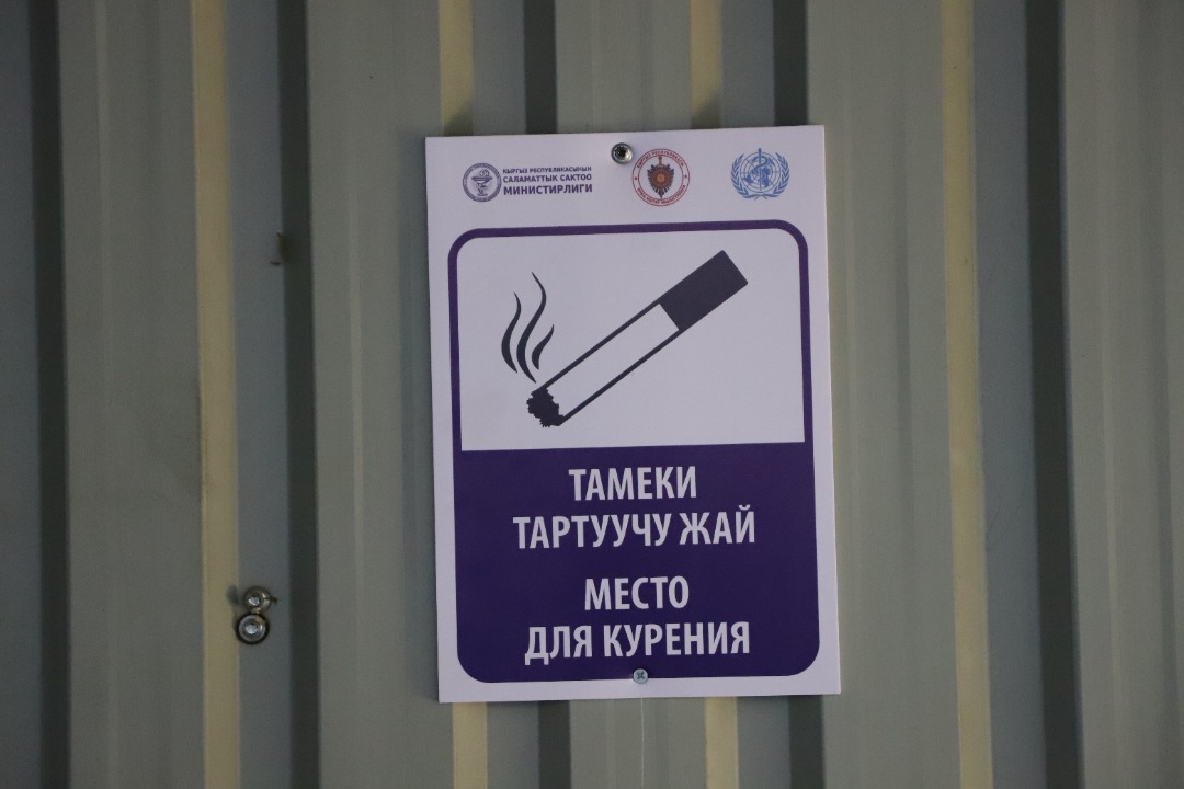 ИИМ: «Тамеки чегүү ден-соолукка зыян!»