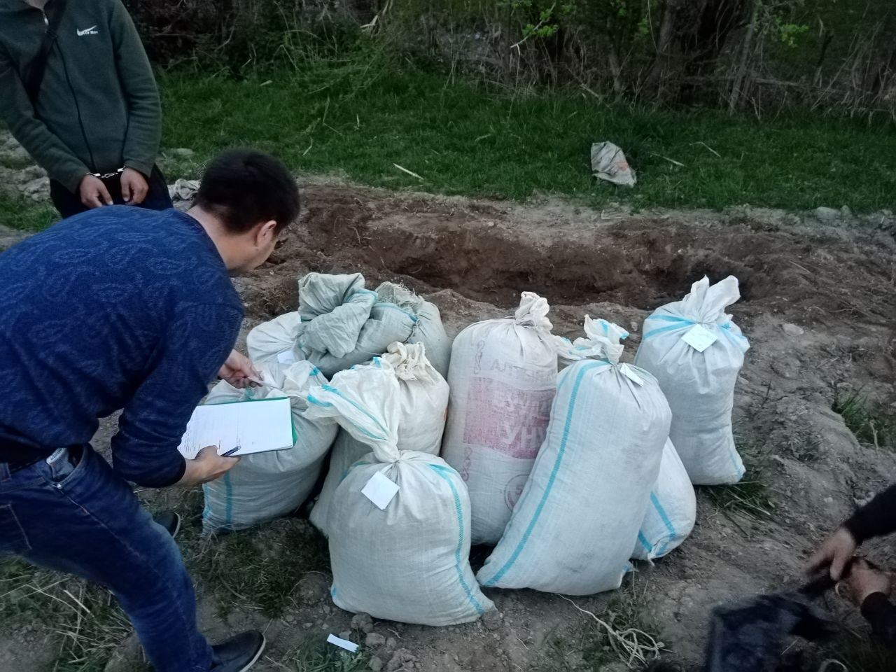 В Токтогульском районе сотрудники СБНОН нашли в огороде частного дома  тайник с коноплей