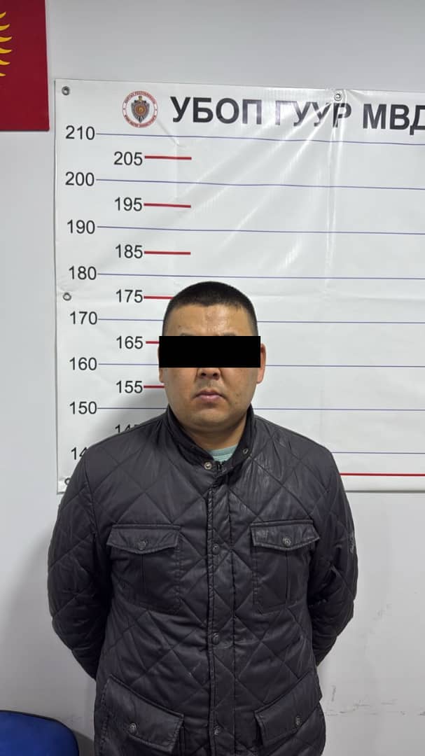 МВД пресекло деятельность группы, готовившей массовые беспорядки после выборов