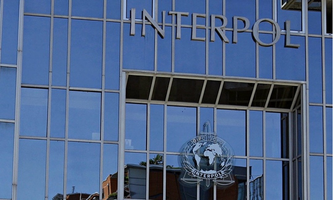 ИИМ: 2021-жылы Интерпол эл аралык издөөдө жүргөн 45 адамды кармаган.