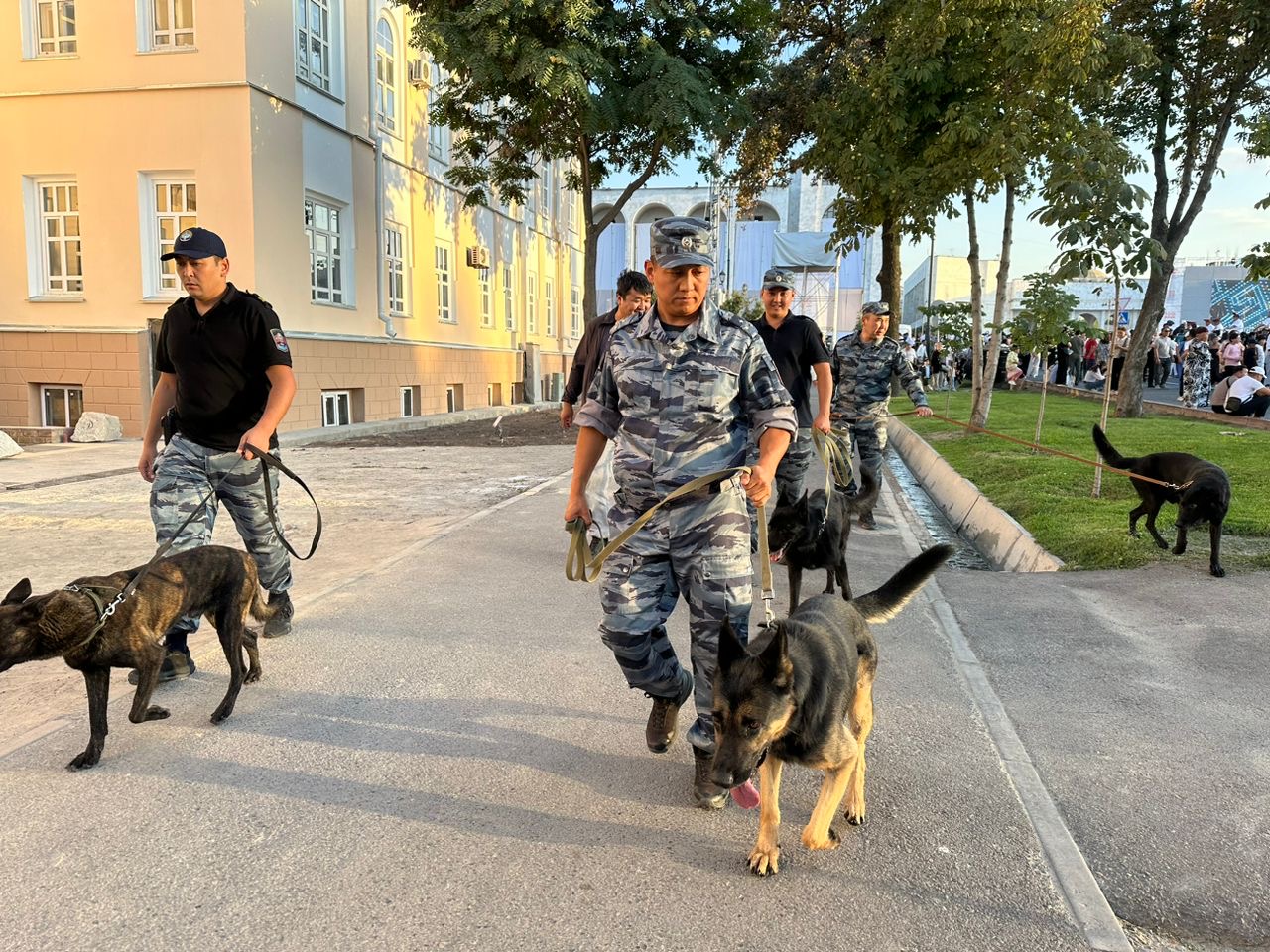 Сексуалдық әйел минет